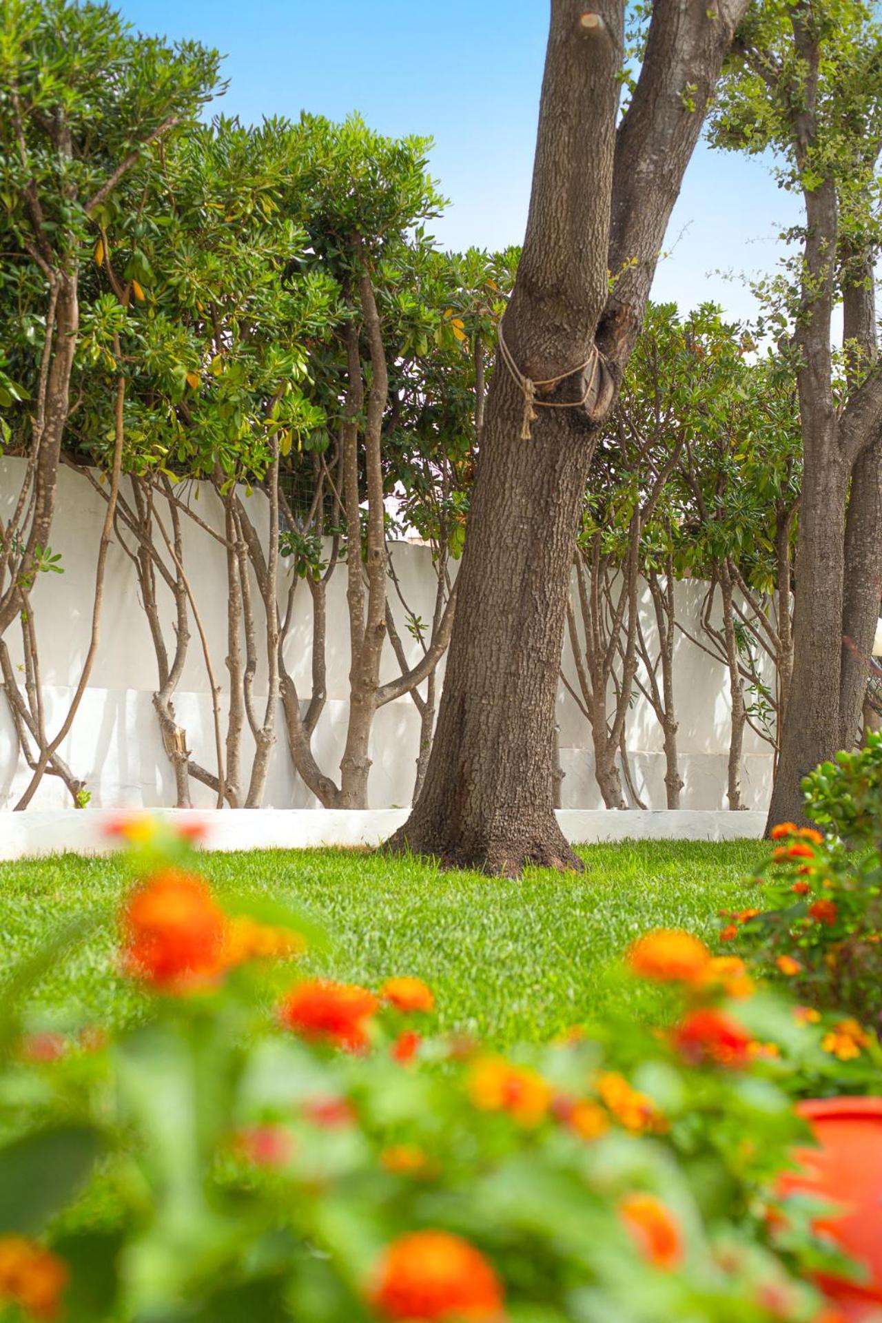 Ferienwohnung Casa Masini San Teodoro Monte Petrosu Exterior foto